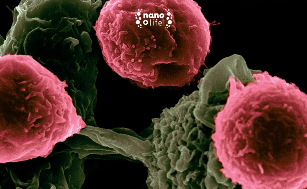 OXÍGENO VS HIPOXIA. EL GRAN DESAFIO CONTRA EL CÁNCER